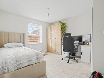 Picture 21